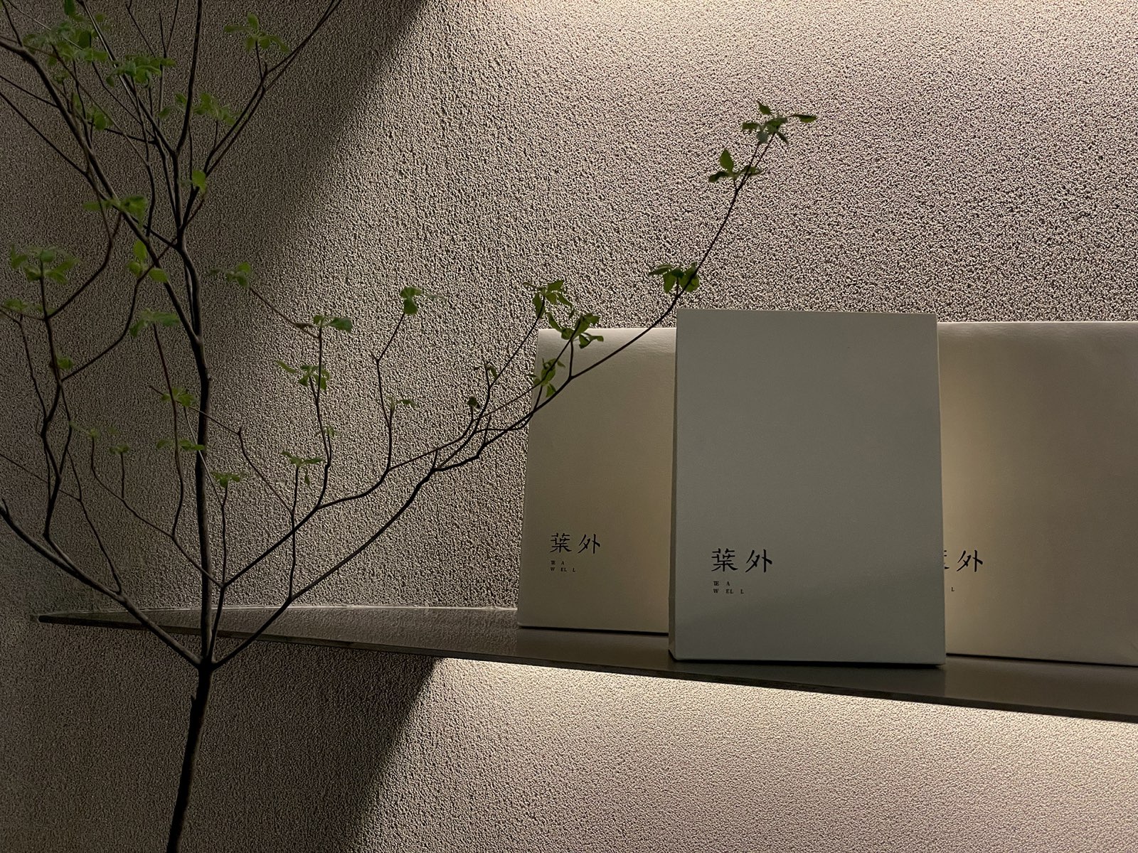 19_©MIST